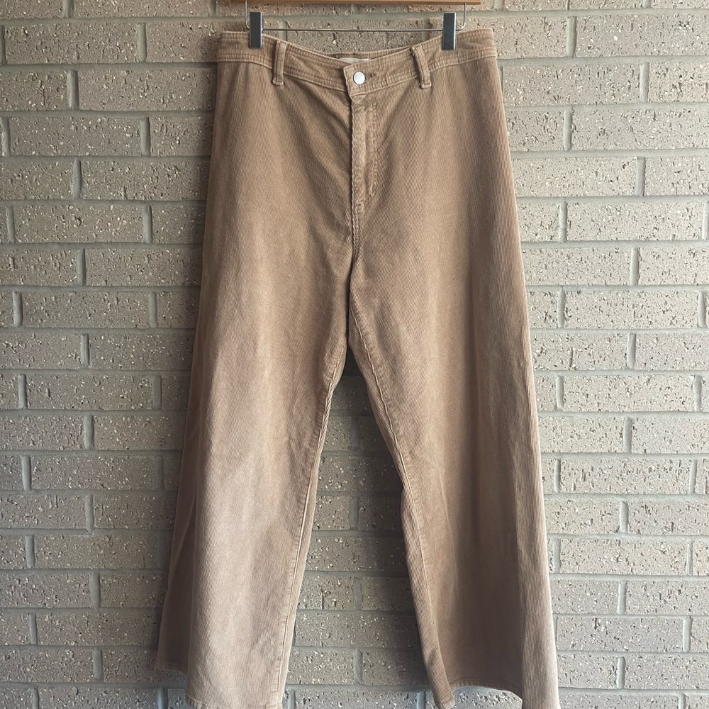 Universal Thread Wide-Leg Pants in Tan